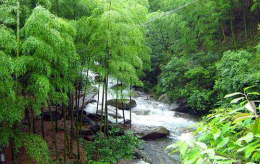 杭州临安旅游_白水涧景色绝美农家欢乐